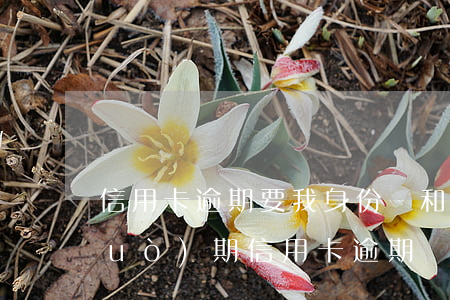 信用卡逾期要我身份證和戶口 身份證過(guò)期信用卡逾期