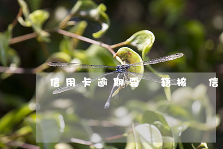 信用卡逾期要戶籍核實(信用卡逾期要戶籍核實)