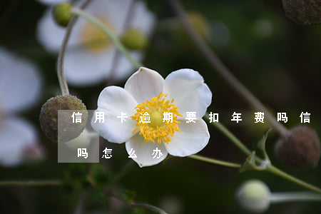 信用卡逾期要扣年费吗(信用卡逾期要扣年费吗怎么办)