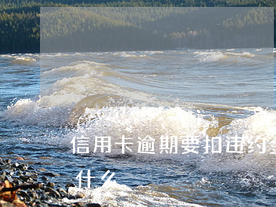 信用卡逾期要扣违约金吗(逾期还款违约金是什么)