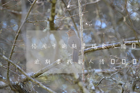信用卡逾期要找家人借錢給還了嗎-信用卡逾期要找家人借錢給還了嗎怎么辦
