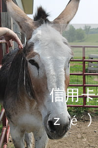 信用卡逾期要承擔(dān)哪些違約責(zé)任(信用卡逾期要承擔(dān)哪些違約責(zé)任)