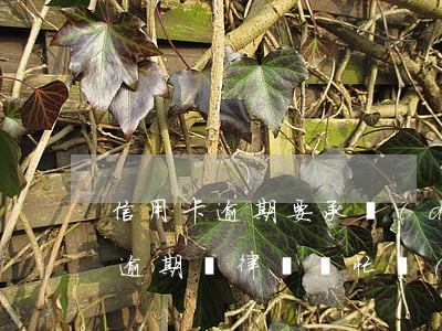信用卡逾期要承擔(dān)律師費(信用卡逾期請律師幫忙協(xié)商多少錢)