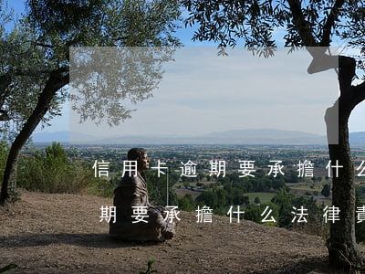 信用卡逾期要承擔什么法律責任-信用卡逾期要承擔什么法律責任呢