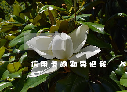 信用卡逾期要把我錄入失信