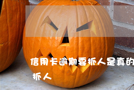 信用卡逾期要抓人是真的嗎(欠信用卡會直接抓人嗎)