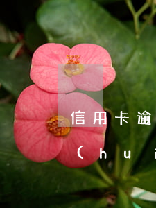 信用卡逾期要抖音曝光(抖音用信用卡支付會(huì)不會(huì)有風(fēng)險(xiǎn))