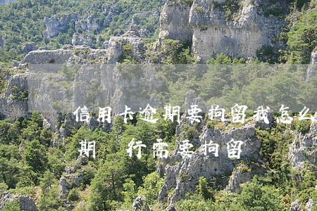 信用卡逾期要拘留我怎么辦(拘留后信用卡逾期銀行需要拘留證)