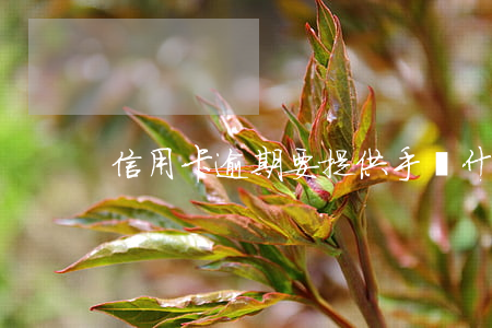 信用卡逾期要提供手寫什么意思-