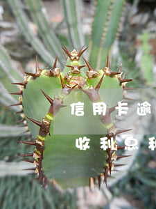 信用卡逾期要收利息和違約金 信用卡逾期要收利息和違約金嗎