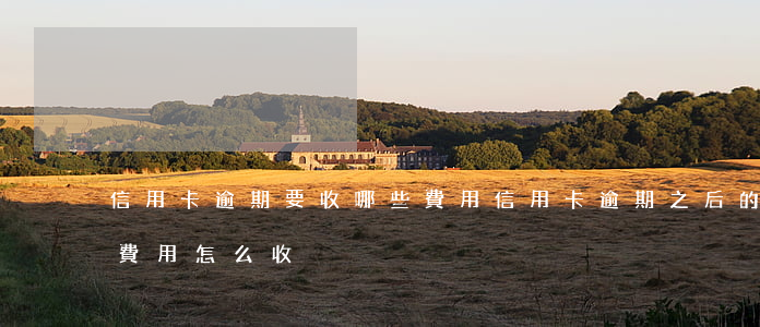 信用卡逾期要收哪些費用(信用卡逾期之后的費用怎么收)