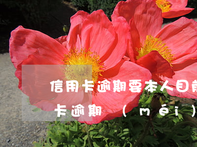 信用卡逾期要本人目前地址可以嗎-我信用卡逾期沒(méi)有還,去辦理身份證可以嗎