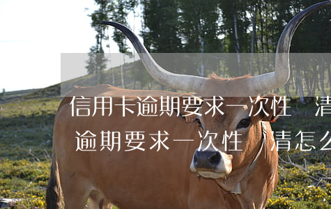 信用卡逾期要求一次性還清怎么辦-信用卡逾期要求一次性還清怎么辦理
