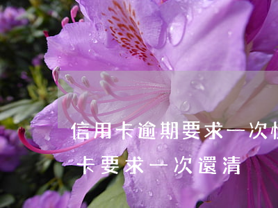 信用卡逾期要求一次性還清(逾期三個月信用卡要求一次還清)