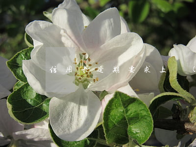 信用卡逾期要求上門(mén)怎么處理