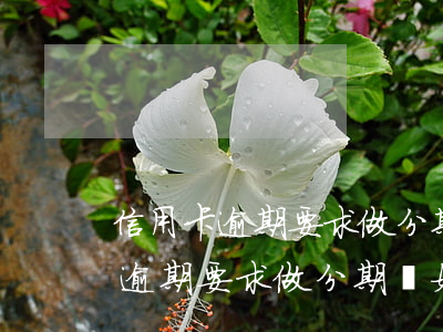 信用卡逾期要求做分期該如何解決-信用卡逾期要求做分期該如何解決呢