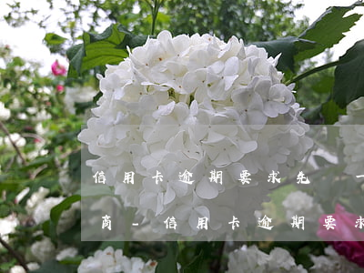 信用卡逾期要求先還一部分再協(xié)商-信用卡逾期要求先還一部分再協(xié)商還款
