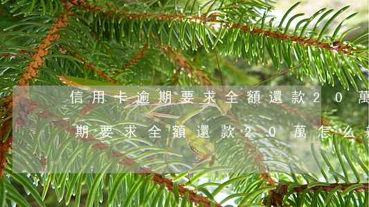 信用卡逾期要求全額還款20萬-信用卡逾期要求全額還款20萬怎么辦