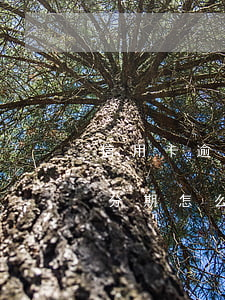 信用卡逾期要求分期怎么辦(信用卡逾期要求分期怎么辦理)