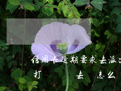 信用卡逾期要求去派出所(信用卡逾期派出所打電話讓去,會怎么樣)