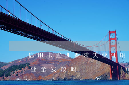 信用卡逾期要求失业证明(信用卡逾期影响失业金发放吗)