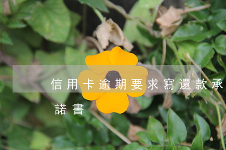 信用卡逾期要求寫還款承諾(銀行逾期還款承諾書)