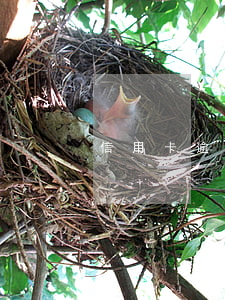 信用卡逾期要求換全款