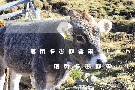 信用卡逾期要求準(zhǔn)備的材料(怎樣寫信用卡逾期申請(qǐng)書)