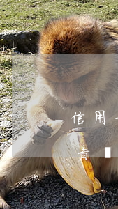 信用卡逾期要求配合錄音(信用卡逾期要求錄音無力償還)