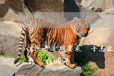 信用卡逾期要求錄音怎么辦(有逾期記錄能不能辦信用卡)