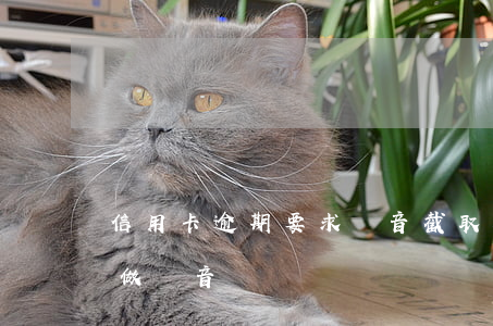 信用卡逾期要求錄音截取(欠信用卡銀行要求做錄音)