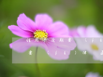 信用卡逾期要發(fā)律師函(信用卡逾期要發(fā)律師函能不能協(xié)商先還一點)