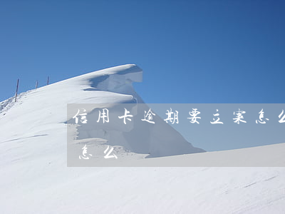 信用卡逾期要立案怎么辦(信用卡逾期要起訴怎么辦)
