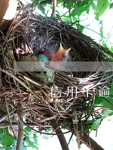 信用卡逾期要簽字(不小心信用卡逾期)