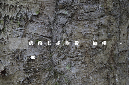 信用卡逾期要簽知情書-信用社讓簽逾期通知書