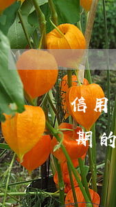 信用卡逾期要簽署文件(合同法關于信用卡逾期的)