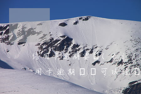 信用卡逾期要聯(lián)系公司嗎(有信用卡逾期記錄可以注冊(cè)公司嗎)