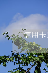 信用卡逾期要藍(lán)底照片是