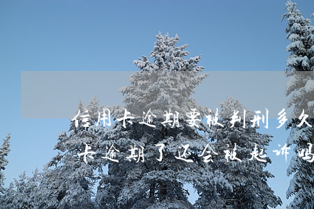 信用卡逾期要被判刑多久(因为被判刑了信用卡逾期了还会被起诉吗)