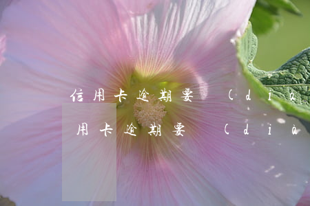 信用卡逾期要調(diào)查資金去向(信用卡逾期要調(diào)查資金去向)