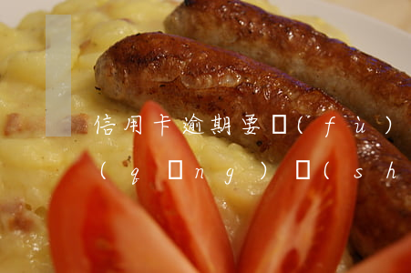 信用卡逾期要負(fù)債務(wù)申請(qǐng)書(shū)(貸款逾期還可以申請(qǐng)信用卡嗎)