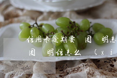 信用卡逾期要貧困證明怎么寫(xiě)(貧困證明信怎么寫(xiě)?)
