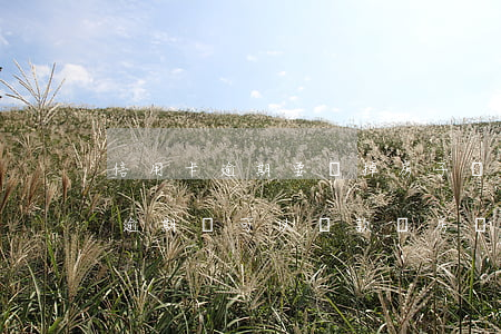 信用卡逾期要賣掉房子還款嗎(以前有信用卡逾期還可以貸款買房嗎)