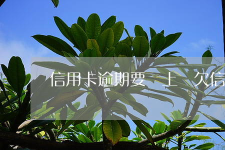 信用卡逾期要賬上門(欠信用卡逾期上門催收)