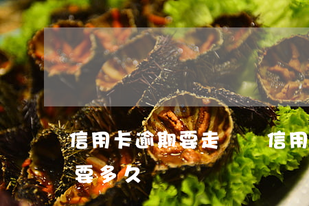 信用卡逾期要走訴訟(信用卡逾期走訴訟流程要多久)