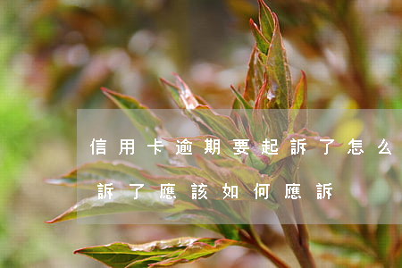 信用卡逾期要起訴了怎么辦(信用卡逾期被起訴了應該如何應訴)