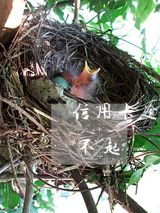 信用卡逾期要起訴嗎(為什么信用卡逾期銀行不起訴)