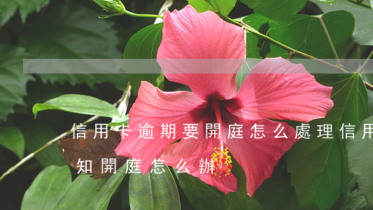 信用卡逾期要開庭怎么處理(信用卡逾期被通知開庭怎么辦)