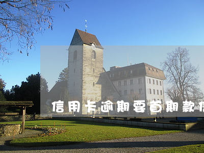 信用卡逾期要首期款(信用卡 逾期 一個月)