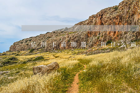 信用卡逾期覆蓋指什么(逾期覆蓋什么意思)